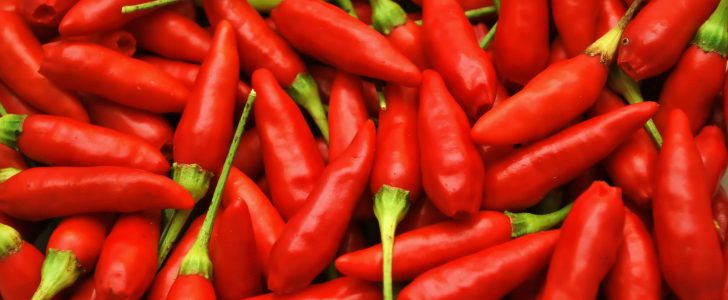 Spice Up Your Culinary Adventures with the Scoville Scale