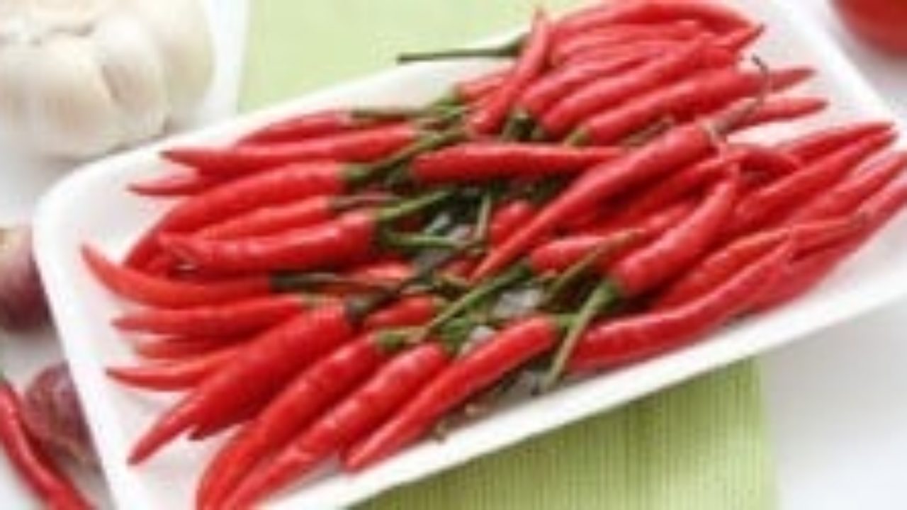 Capsaicin Pepper